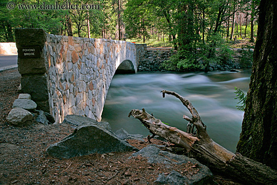 tree-n-bridge-2.jpg