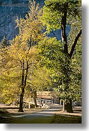 images/California/Yosemite/Bridges/trees-walking-bridge-1.jpg