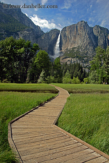 wood-plank-path.jpg