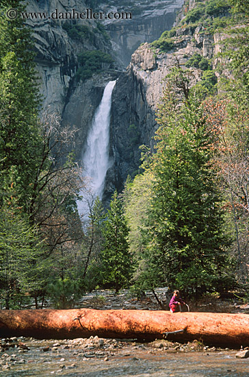 yosemite-falls-log.jpg