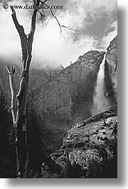 images/California/Yosemite/Falls/YosemiteFalls/yosemite-falls-tree-bw.jpg