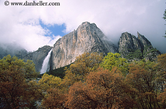 yosemite-falls-trees.jpg