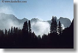 images/California/Yosemite/Fog/trees-mtns-fog-sil.jpg