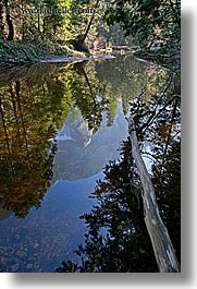 images/California/Yosemite/MirrorLake/tree-reflecting-on-water-1.jpg