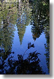 images/California/Yosemite/MirrorLake/tree-reflecting-on-water-2.jpg