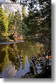 images/California/Yosemite/MirrorLake/tree-reflecting-on-water-3.jpg