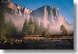 images/California/Yosemite/Mountains/ElCapitan/fog-cliff.jpg