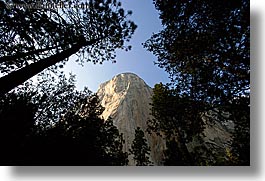 images/California/Yosemite/Mountains/ElCapitan/upview-thru-trees.jpg