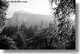 images/California/Yosemite/Mountains/HalfDome/half_dome-morning-n-trees-1.jpg