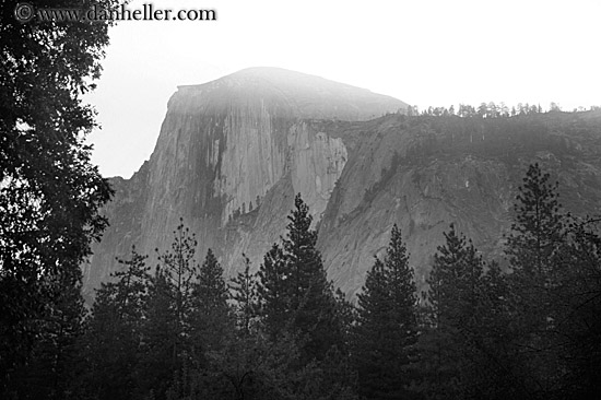 half_dome-morning-n-trees-2.jpg