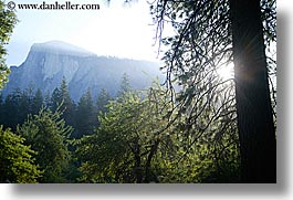 images/California/Yosemite/Mountains/HalfDome/half_dome-morning-n-trees-3.jpg