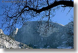 images/California/Yosemite/Mountains/HalfDome/half_dome-n-branch-1.jpg