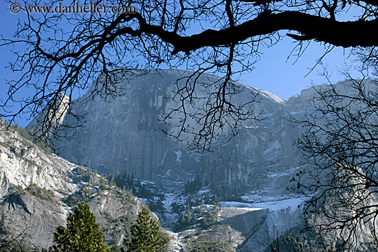 half_dome-n-branch-2.jpg