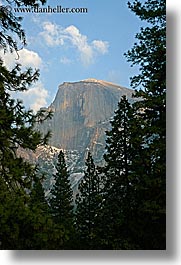 images/California/Yosemite/Mountains/HalfDome/half_dome-n-trees-1.jpg