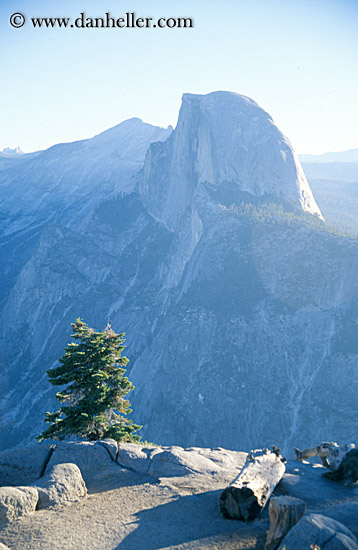 half_dome-n-trees-a.jpg