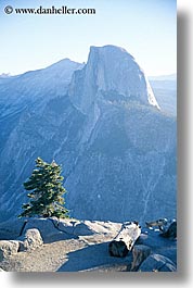 images/California/Yosemite/Mountains/HalfDome/half_dome-n-trees-a.jpg