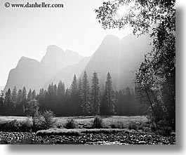 images/California/Yosemite/Mountains/trees-n-mtns-morning-1.jpg