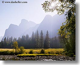 images/California/Yosemite/Mountains/trees-n-mtns-morning-2.jpg