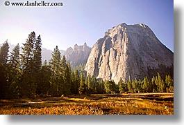 images/California/Yosemite/Mountains/trees-n-mtns-morning-3.jpg