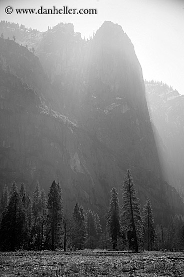 trees-n-mtns-morning-4-bw.jpg