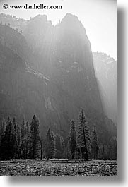 images/California/Yosemite/Mountains/trees-n-mtns-morning-4-bw.jpg