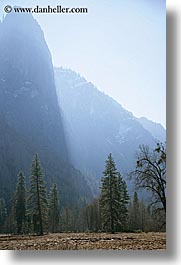 images/California/Yosemite/Mountains/trees-n-mtns-morning-5.jpg
