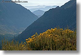 images/California/Yosemite/Mountains/wildflowers-n-layered-mtns-1.jpg