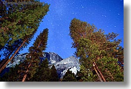 images/California/Yosemite/Nite/stars-n-trees-2.jpg