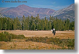 images/California/Yosemite/People/ranger-on-horse-1.jpg