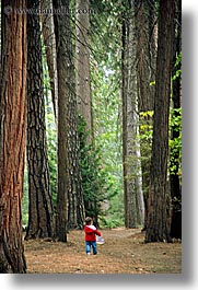 images/California/Yosemite/People/toddler-in-woods-2.jpg