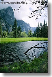 images/California/Yosemite/Scenics/branch-in-water.jpg