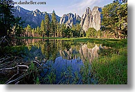 lake dog yosemite scenics california
