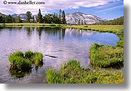 images/California/Yosemite/Scenics/pond.jpg