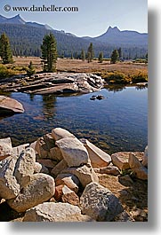 images/California/Yosemite/Scenics/rocky-river_bank.jpg
