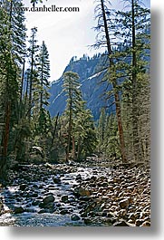 images/California/Yosemite/Scenics/trees-n-stream.jpg