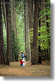 images/California/Yosemite/Trees/jnj-in-woods-1.jpg
