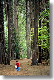 images/California/Yosemite/Trees/toddler-in-woods-1.jpg
