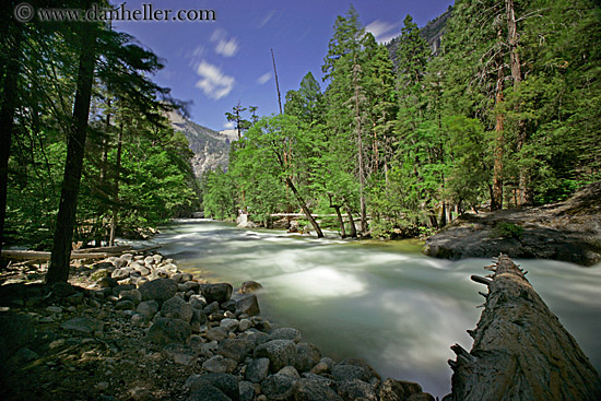 rushing-river-n-log-2.jpg