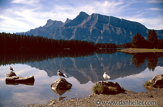 mount-birds-reflect-a.jpg