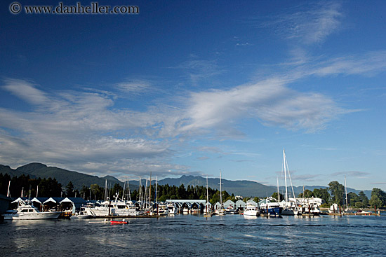 harbor-boats-1.jpg