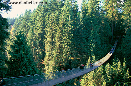 capilano-rope-suspension-bridge.jpg