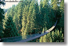 images/Canada/Vancouver/Misc/capilano-rope-suspension-bridge.jpg