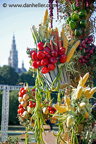 Harvest Tree (3)