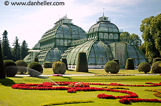 schoenbrunn-palm-house-2.jpg