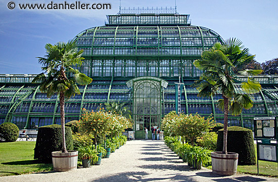 schoenbrunn-palm-house-8.jpg