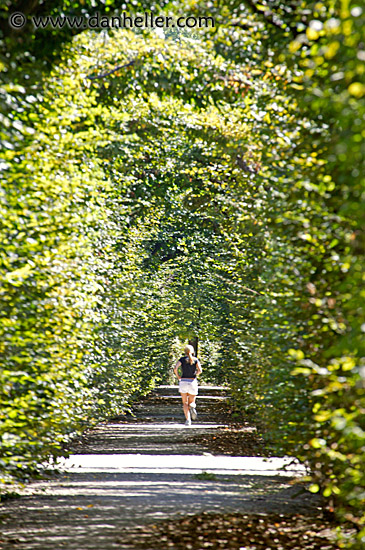 schoenbrunn-paths-2.jpg