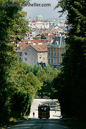 schoenbrunn-paths-4.jpg