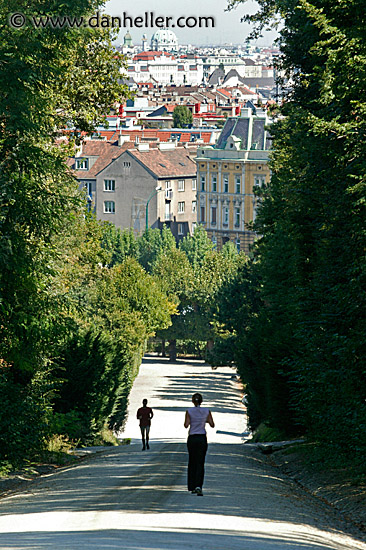 schoenbrunn-paths-5.jpg