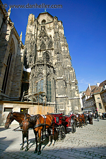 st-stephens-horses.jpg