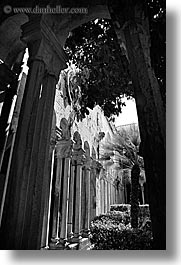 images/Europe/Croatia/Dubrovnik/Architecture/franciscan-monastery-cloisters-5.jpg